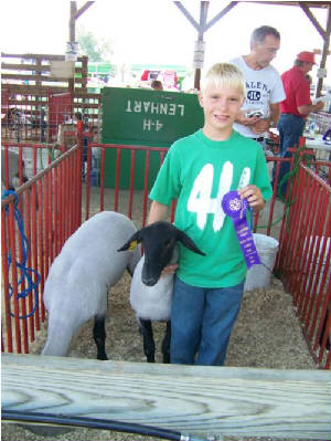 sheepshow2006.jpg